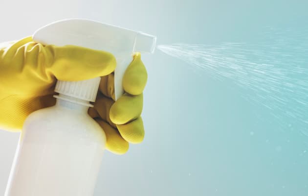 Sherbim Profesional DDD